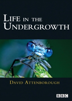 Watch free Life in the Undergrowth Movies