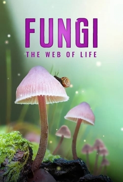 Watch free Fungi: The Web of Life Movies