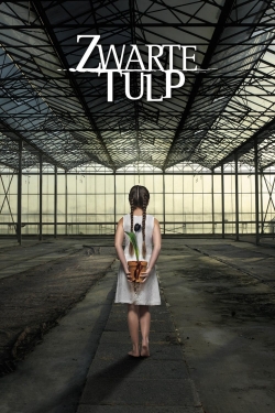 Watch free Black Tulip Movies