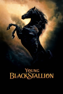 Watch free Young Black Stallion Movies