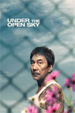 Watch free Under the Open Sky Movies