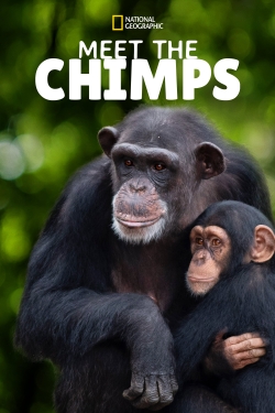 Watch free Meet the Chimps Movies