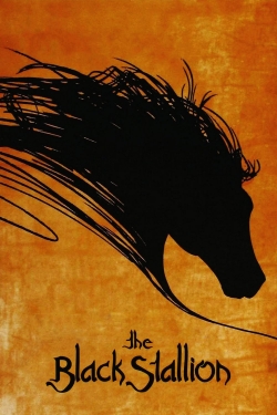 Watch free The Black Stallion Movies