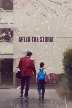 Watch free After the Storm Movies