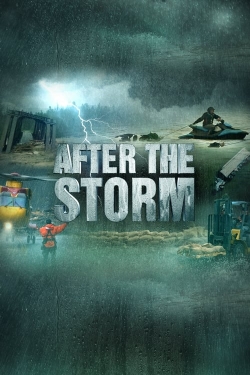 Watch free After the Storm Movies