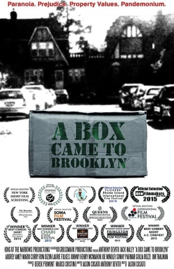 Watch free A Box Came to Brooklyn Movies