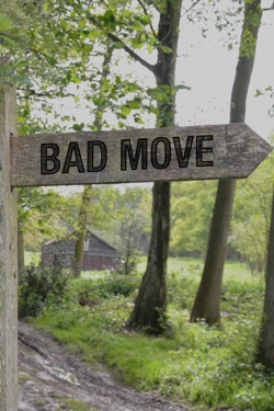 Watch free Bad Move Movies