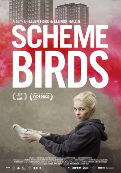 Watch free Scheme Birds Movies