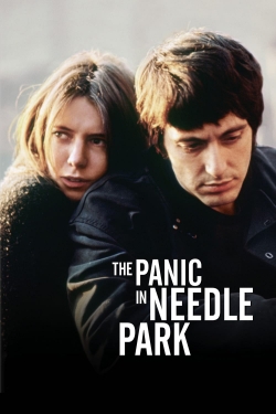 Watch free The Panic in Needle Park Movies