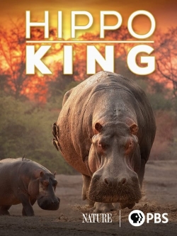 Watch free Hippo King Movies