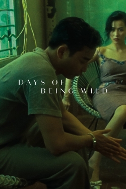 Watch free Days of Being Wild Movies