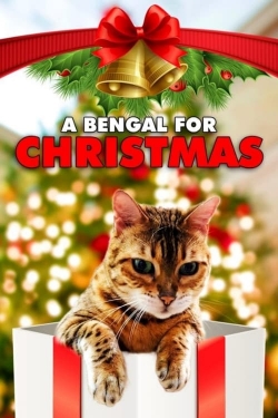 Watch free A Bengal for Christmas Movies