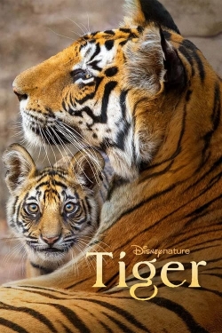 Watch free Tiger Movies