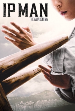 Watch free Ip Man: The Awakening Movies