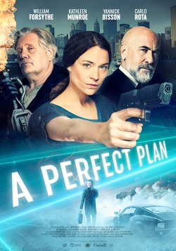 Watch free A Perfect Plan Movies