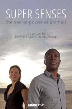 Watch free Super Senses: The Secret Power of Animals Movies