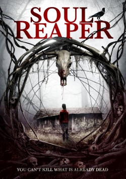 Watch free Soul Reaper Movies