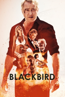 Watch free Blackbird Movies