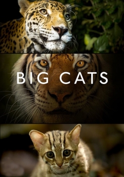 Watch free Big Cats Movies