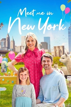 Watch free Meet Me in New York Movies