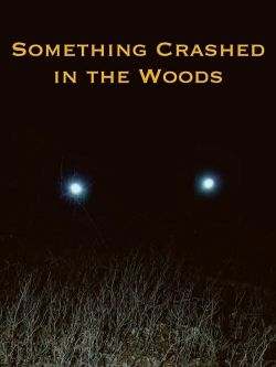 Watch free Something Crashed in the Woods Movies