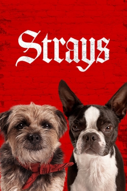 Watch free Strays Movies