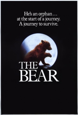 Watch free The Bear Movies