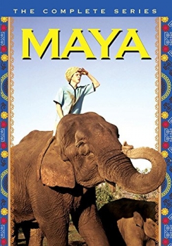 Watch free Maya Movies