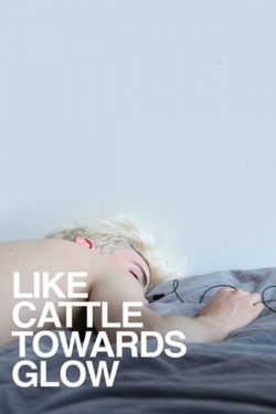 Watch free Like Cattle Towards Glow Movies