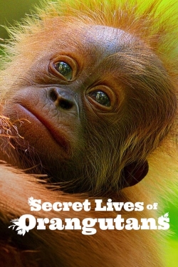 Watch free Secret Lives of Orangutans Movies