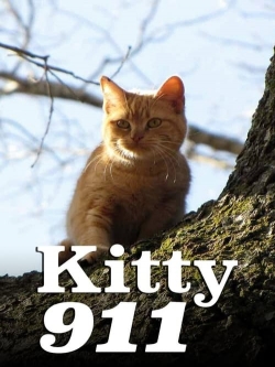 Watch free Kitty 911 Movies