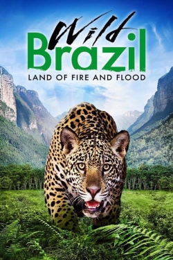 Watch free Wild Brazil Movies