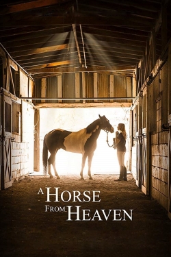 Watch free A Horse from Heaven Movies